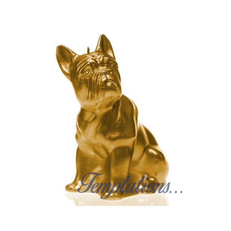 Bougie Bulldog gold Candellana