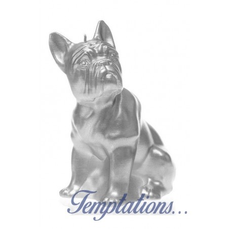 Bougie Bulldog Argent Candellana