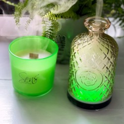 Bougie Sens Collection Edition FLUO VERT